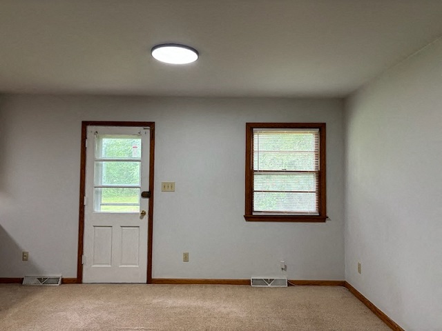 Gallery Photo 12